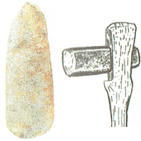 太形蛤刃石斧