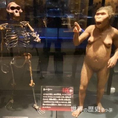 アウストラロピテクス
